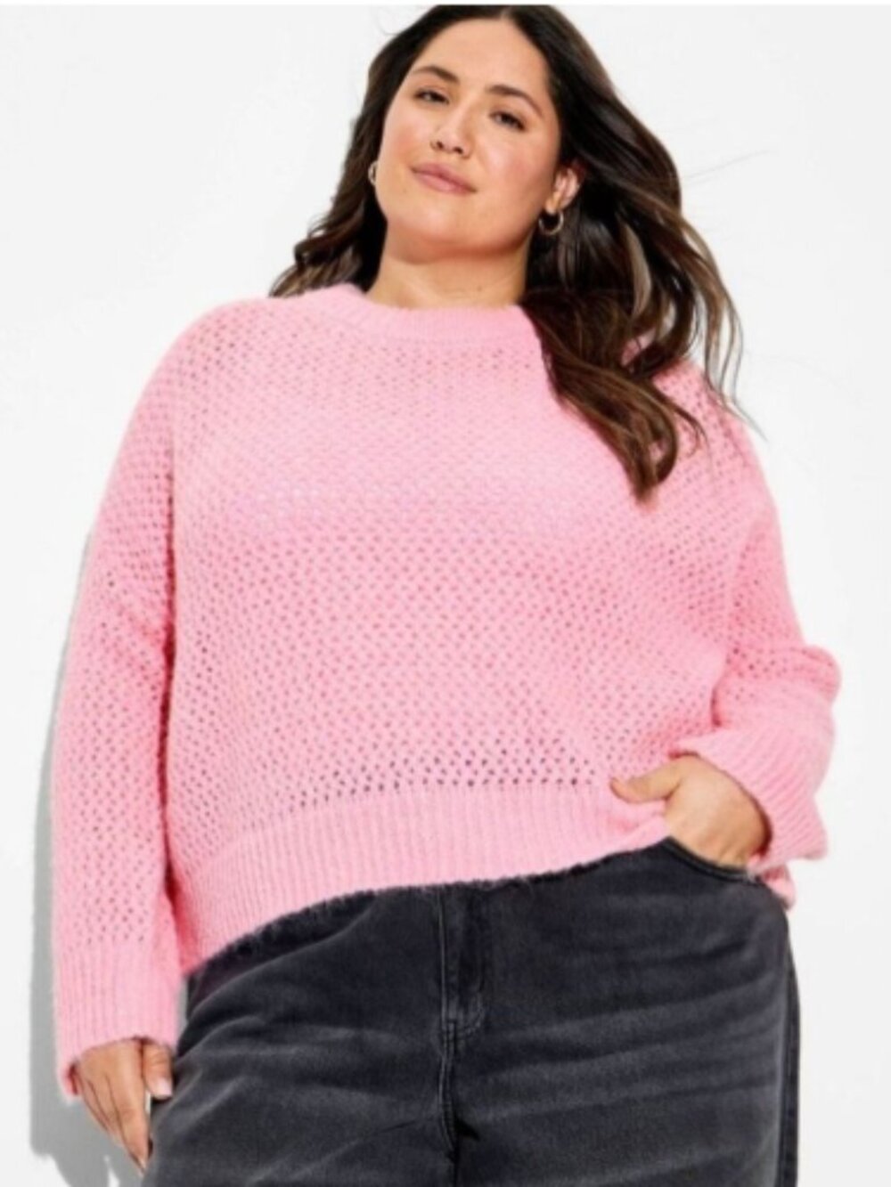 Wild Fable Women's Openwork Crewneck Pullover Sweater